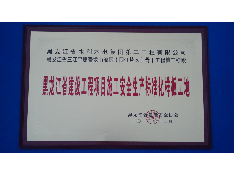 黑龍江省建設(shè)工程項(xiàng)目施工安全生產(chǎn)標(biāo)準(zhǔn)化樣板工地